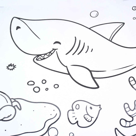 Fun And Educational Coloring Roll (1 Pc)