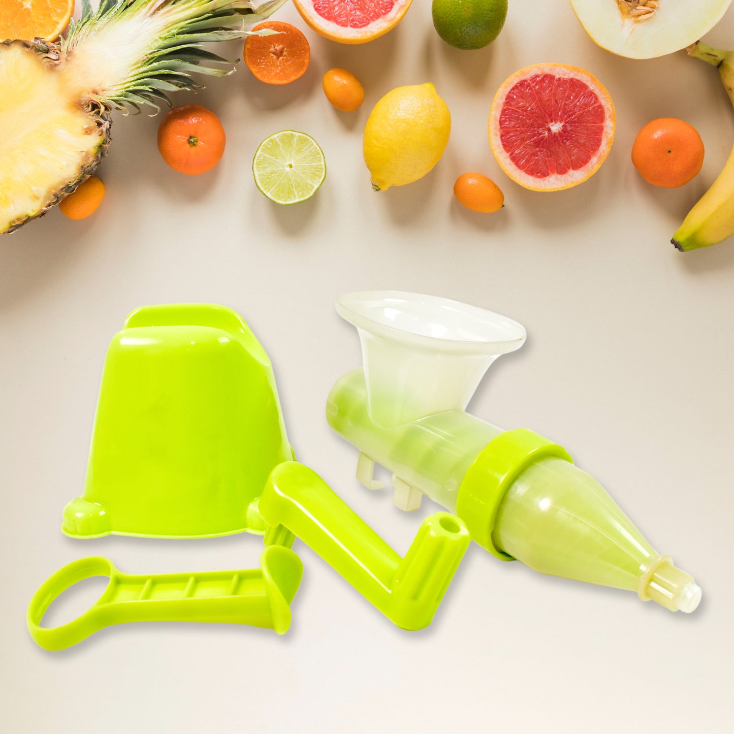 Fruit And Vegetable Juicer