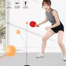 Portable Wiff Waff Rebound Table Tennis - Primesmart